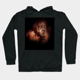 Orangutan Hoodie